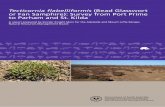 Tecticornia flabelliformis (Bead Glasswort or Fan … ·  · 2017-08-131 word.doc on CD Caroline Taylor & Aleisa Lamanna Final Draft 1 : 1 (pdf) Caroline Taylor Final Draft 1 : 1