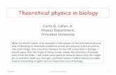Theoretical physics in biology - UCLA Physics & Astronomyhome.physics.ucla.edu/calendar/conferences/cornwallfest/talks/c... · Theoretical physics in biology Curtis G. Callan, Jr.
