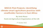 MICCA Pilot Projects: Identifying climate-smart ... Pilot Projects: Identifying climate-smart agriculture practices with smallholder farmers in East Africa By Janie Rioux Food and