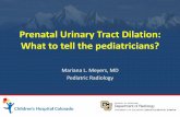 Prenatal urinary tract dilatation. What to tell the ... 910 - (Meyers...–AP pelvis diameter –Standardize terminology –Unified classification system (AP diameter, SFU grading