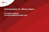 Introduction to JBoss Seam - In Relation Toin.relation.to/assets/IntroductionToJBossSeam-Sept07.pdfIntroduction to JBoss Seam ... • The standards: JSF and EJB 3.0 • A Java EE web