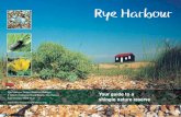 Rye Harbour · Friends of Rye Harbour Nature Reserve This charity is dedicated to protecting the wildlife at the reserve and encouraging visitors’ enjoyment of the area.
