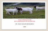 GOAT PRODUCTION WITH EMPHASIS ON … TOXEMIA –low blood glucose, twin lamb disease, lambing paralysis, sleeping ewes syndrom Symptoms (1-3 weeks before parturation) –lethargy,