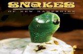 Smooth green snake hatching from an egg. green snake hatching from an egg. ... the milk snake, water snake and ... black snake with a whitish chin that is often
