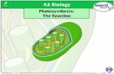 Photosynthesis: The Reaction - Groby Bio Page - Homegrobybio.weebly.com/.../2/6/2/3/26235017/… · PPT file · Web view · 2017-06-05light energy. Boardworks A2 Biology . ... The