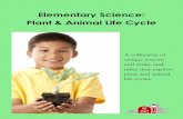 Elementary Science: Plant & Animal Life Cycle Science: Plant & Animal Life Cycle A collection of unique lessons and make-and-takes that explore plant and animal life cycles.Table of