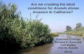 Are we creating the ideal conditions for Arundo donax for Arundo donax invasion in California? ... C o t t o n w o d M u l e f t R e ... 25 30 Arundo donax