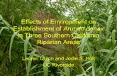 Effects of Environment on Establishment of Arundo …. donax rhizomes Five 25 meter transects per site (perpendicular to water flow) 2003 vs. 2004 • Rhizomes were planted according