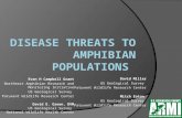 Disease Threats to Amphibian Populations - U.S. Fish …€¦ · PPT file · Web view · 2011-03-31Disease Threats to Amphibian Populations . Evan H Campbell Grant. Northeast Amphibian