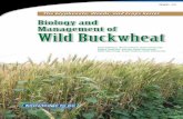 Biology and Management of Wild Buckwheat, GWC-10weeds.cropsci.illinois.edu/extension/factsheets/Wildbuckwheat.pdf · Biology and Management of Wild Buckwheat — GWC-10 H eavy reliance