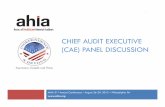 CHIEF AUDIT EXECUTIVE (CAE) PANEL DISCUSSION · CHIEF AUDIT EXECUTIVE (CAE) PANEL DISCUSSION ... written agreement ... Assess the entity's eligibility to participate in the 340B program;