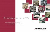 A c o m p a n y p ro f i l e 1991, AMETEK Inc acquired JOFRA Instruments and renamed it AMETEK Denmark A/S. At this point, AMETEK Denmark A/S and AMETEK’s existing pressure calibration