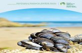 End-Product Testing for Shellfish Toxins Information for ... · Information for Shellfish Harvesters, Growers and ... HACCP plans should take ... End-Product Testing for Shellfish