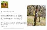  · chestnut: does the chestnut blight fungus benefit from the presence ... Bouche de betizac 12 Standjahr. LFI-Schalenobsttagung 23.2.2018/ARGE Zukunft Edelkastanie ...
