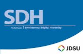 SDH - UPmleitao/STEL/Tecnico/SDH_JDSU.pdf · With PCM (multiple use of a single line by means of digital time-domain multiplexing) ... PDH SDH Terminal multiplexer STM-N Add/Drop