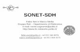 SONET-SDH - polito.it · SONET-SDH Fabio Neri e Marco Mellia ... and coding using the PCM standard and TDM framing ... From PDH to SONET/SDH SONET: Synchronous Optical Network: ...