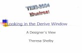 Looking in the Derive Window (A Designer’s view)rfdz.ph-noe.ac.at/fileadmin/Mathematik_Uploads/ACDCA/TIME2004/tim… · muLISP Albert Rich & David Stoutemyer. Entering expression