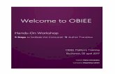 Welcome to OBIEE - reportingcenter.ro to OBIEE Hands-On Workshop 5 Steps to facilitate the Consumer Author Transition OBIEE Platform Training Bucharest, 05 april 2017 Trainer: Elena