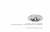 County of Los Angeles Comprehensive Annual …auditor.lacounty.gov/wp-content/uploads/2017/02/CAFR_2003.pdfCounty of Los Angeles Comprehensive Annual Financial Report ... COUNTY OF