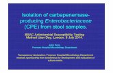 Isolation of carbapenemase- producing Enterobacteriaceaebsac.org.uk/wp-content/uploads/2012/02/BSAC-Userday-John-Perry.pdf · Freeman Hospital Microbiology Department Transparency