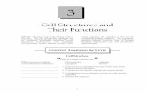 Cell Structures and Their Functions - McGraw-Hill …highered.mheducation.com/sites/dl/free/0073378267/23454/chp03... · Cell Structures and Their Functions ... 5. Occurs without