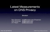 RIPE76 DNS Privacy measurements · DNS WG @ RIPE76 DNS Privacy Measurements Latest Measurements on DNS Privacy Sinodun ... Unbound . DNS WG @ RIPE76 DNS Privacy Measurements Test