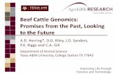 Beef Cattle Genomics: Promises from the Past, Looking to ...animal.ifas.ufl.edu/beef_extension/bcsc/2013/ppt/herring.pdf · This is whole genome analysis of birth weight ... platform: