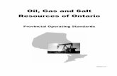 Oil, Gas and Salt Resources of Ontario - OGSR Library · Oil, Gas and Salt Resources of Ontario Provincial Operating Standards Version 2.0