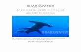 SHARKWATER€¦ · 4 IMMEDIATE FOLLOW-UP DISCUSSION In a general class discussion have the students complete the questions for the movie (the answers are provided below).