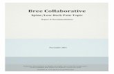 Bree Collaborative · A. List of Bree Collaborative and Spine/Low Back Pain Workgroup Members B. Initiatives to Improve Low Back Pain Care (Acute and Chronic) and Organizations ...