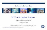 Babcock Power Inc. - WPCAwpca.info/pdf/presentations/Orlando_Dec2008/5-Wet FGD maintenance… · Title: Microsoft PowerPoint - FGD program Power Gen.ppt Author: Susan D. Reinhold