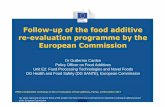 Follow-up of the food additive re-evaluation programme … · Follow-up of the food additive re-evaluation programme by the European Commission Dr Guillermo Cardon Policy Officer