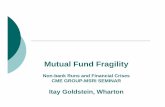Mutual Fund Fragility - Wharton Financefinance.wharton.upenn.edu/~itayg/Files/CME GROUP-MSRI.pdf · Mutual Fund Fragility ... floating-NAV model as in other mutual funds 5. ... Forward