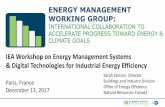 ENERGY MANAGEMENT WORKING GROUP - International … · 24.01.2018 · Buildings and Industry Division ... The Energy Management Working Group ... •Impact Research Network & Impact