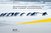 achieving Resilience In The Cyber Ecosystem - United - EYFILE/EY... · A solution characteristic of perimeter defense is the firewall, ... Security Survey, ... Achieving resilience
