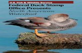 U.S. Fish & Wildlife Service Federal Duck Stamp Office ... · U.S. Fish & Wildlife Service Federal Duck Stamp Office Presents North American Waterfowl ... Migratory birds are among
