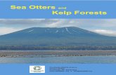 Sea Otters and Kelp Forests - Alaska Wildlife .Estes JA, Duggins DO (1995) Sea otters and kelp forests