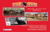 Peponitas Lucky Boy “Spider” - Top Gun Horse Sales · Danny Skeels, Rimbey, AB - 403.783.1217 rINgmAN ... Murdock Keith ... DOC BARS BOY 2 MELANIES DOC BOY