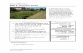 BMP #: Vegetated Swale - B.F. Environmental · Pennsylvania Stormwater Management Manual 1 Section 5 - Structural BMPs Structural BMP Criteria BMP #: Vegetated Swale A Vegetated Swale