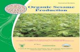 Central Research Institute for Dryland Agriculture - CRIDA Sesame Production.pdf · 1 Organic Sesame Production Introduction The rainfed agro-ecosystem in India covers arid, semi-arid