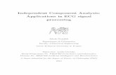 Independent Component Analysis: Applications in ECG signal ...bio.felk.cvut.cz/~kuziljak/papers/kuzilek_phd_thesis.pdf · Independent Component Analysis: Applications in ECG signal
