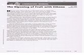 Ripening of Fruit With Ethene - Dempsey's Chemistrydempseychemistry.weebly.com/.../4/...ripening_of_fruit_with_ethene.pdf · 22.2 LABORATORY MANUAL The Ripening of Fruit with Ethene