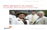 The future is now Family Business Survey - PwC South Africa · The future is now Family Business Survey South African edition • 2012/2013 ... economic environment. PwC is committed