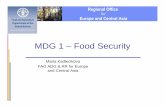 MDG 1 – Food Security - UNECE · MDG 1 – Food Security ... •Target food production programs ... World Summit on Food Security declaration vowed better governance,