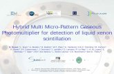 Hybrid Multi Micro -Pattern Gaseous Photomultiplier for ...ndip.in2p3.fr/ndip11/AGENDA/AGENDA-by-DAY/Presentations/4Thursd… · Hybrid Multi Micro -Pattern Gaseous Photomultiplier