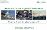 America in the Age of Disruption - Home - Mehlman ...mehlmancastagnetti.com/wp-content/uploads/Mehlman-Age-of... · America in the Age of Disruption ... (Health, Social Security,