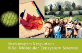 Study program & regulations B.Sc. Molecular Ecosystem … · Internship MES catalogue Other faculties of ... Presentation / Report 10 –20 minutes / ... (Prüfungs- und Studienordnung