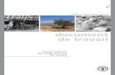 Evolution du secteur avicole en Tunisie - fao.org · iii sommaire sigles et abrÉviations v introduction 1 1. historique du secteur traditionnel 2 1.1. avant l’arrivee du secteur