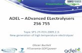 ADEL ADvanced ELectrolysers 256 755 - Europa Programme Review 2011... · Flow sheets will allow to ... • 2 Public Workshops –Sevilla ... • Participation in conferences such