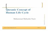 Quranic Concept of Human Life Cycle - Mubashir Nazir · Quranic Concept of Human Life Cycle Phase 2 & 3 of Human Life Yet there is among men such a one as disputes about God, without